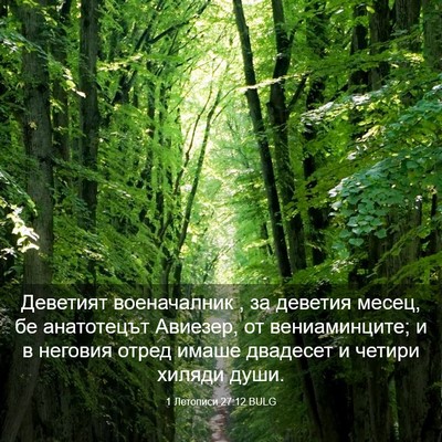 Picture 03 - 1 Летописи 27:12 BULG - Деветият военачалник , за - Bible Verse Picture