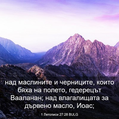 Picture 03 - 1 Летописи 27:28 BULG - над маслините и черниците, - Bible Verse Picture