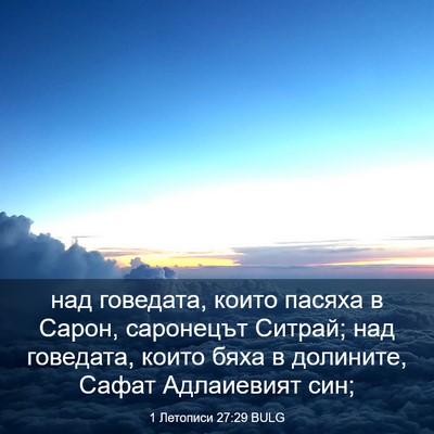 Picture 03 - 1 Летописи 27:29 BULG - над говедата, които пасяха - Bible Verse Picture