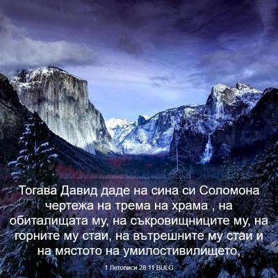 Picture 03 - 1 Летописи 28:11 BULG - Тогава Давид даде на сина - Bible Verse Picture