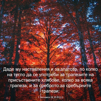 Picture 03 - 1 Летописи 28:16 BULG - Даде му наставления и за - Bible Verse Picture