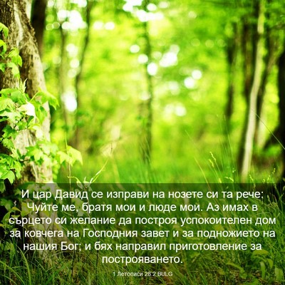 Picture 03 - 1 Летописи 28:2 BULG - И цар Давид се изправи на - Bible Verse Picture