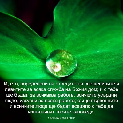 Picture 03 - 1 Летописи 28:21 BULG - И, ето, определени са - Bible Verse Picture