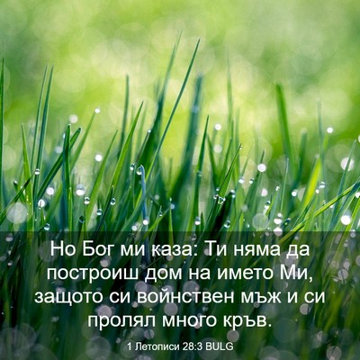 Picture 03 - 1 Летописи 28:3 BULG - Но Бог ми каза: Ти няма да - Bible Verse Picture