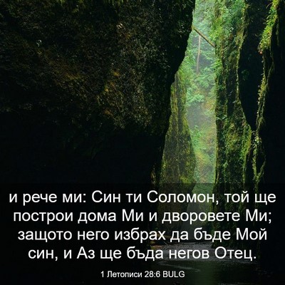 Picture 03 - 1 Летописи 28:6 BULG - и рече ми: Син ти Соломон, - Bible Verse Picture
