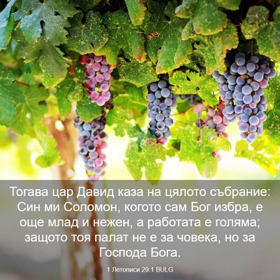 Picture 03 - 1 Летописи 29:1 BULG - Тогава цар Давид каза на - Bible Verse Picture
