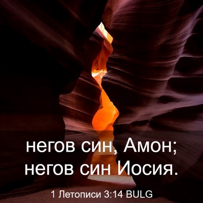Picture 03 - 1 Летописи 3:14 BULG - негов син, Амон; негов син - Bible Verse Picture