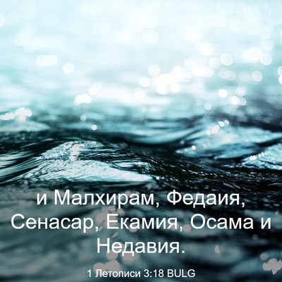 Picture 03 - 1 Летописи 3:18 BULG - и Малхирам, Федаия, - Bible Verse Picture
