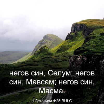 Picture 03 - 1 Летописи 4:25 BULG - негов син, Селум; негов син, - Bible Verse Picture