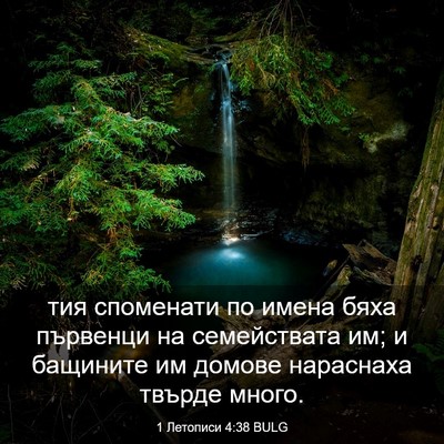 Picture 03 - 1 Летописи 4:38 BULG - тия споменати по имена - Bible Verse Picture