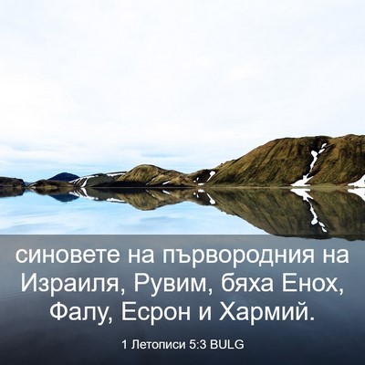 Picture 03 - 1 Летописи 5:3 BULG - синовете на първородния на - Bible Verse Picture