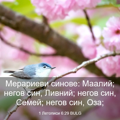 Picture 03 - 1 Летописи 6:29 BULG - Мерариеви синове: Маалий; - Bible Verse Picture