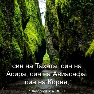 Picture 03 - 1 Летописи 6:37 BULG - син на Тахата, син на Асира, - Bible Verse Picture