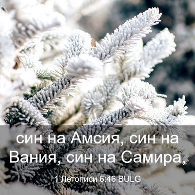 Picture 03 - 1 Летописи 6:46 BULG - син на Амсия, син на Вания, - Bible Verse Picture