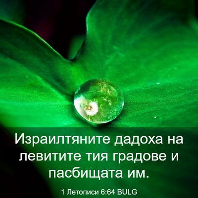 Picture 03 - 1 Летописи 6:64 BULG - Израилтяните дадоха на - Bible Verse Picture