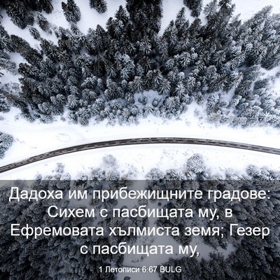 Picture 03 - 1 Летописи 6:67 BULG - Дадоха им прибежищните - Bible Verse Picture