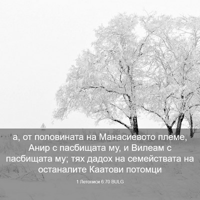 Picture 03 - 1 Летописи 6:70 BULG - а, от половината на - Bible Verse Picture