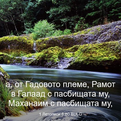 Picture 03 - 1 Летописи 6:80 BULG - а, от Гадовото племе, Рамот - Bible Verse Picture