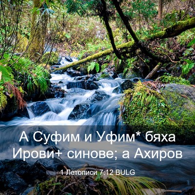 Picture 03 - 1 Летописи 7:12 BULG - А Суфим и Уфим* бяха Ирови+ - Bible Verse Picture
