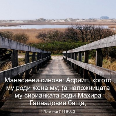 Picture 03 - 1 Летописи 7:14 BULG - Манасиеви синове: Асриил, - Bible Verse Picture