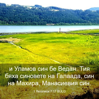 Picture 03 - 1 Летописи 7:17 BULG - и Уламов син бе Ведан. Тия - Bible Verse Picture