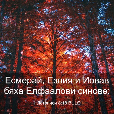 Picture 03 - 1 Летописи 8:18 BULG - Есмерай, Езлия и Иовав бяха - Bible Verse Picture