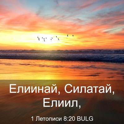 Picture 03 - 1 Летописи 8:20 BULG - Елиинай, Силатай, - Bible Verse Picture