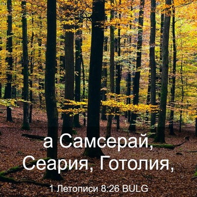 Picture 03 - 1 Летописи 8:26 BULG - а Самсерай, Сеария, - Bible Verse Picture
