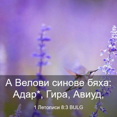 Picture 03 - 1 Летописи 8:3 BULG - А Велови синове бяха: Адар*, - Bible Verse Picture