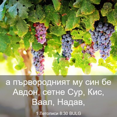Picture 03 - 1 Летописи 8:30 BULG - а първородният му син бе - Bible Verse Picture