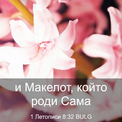 Picture 03 - 1 Летописи 8:32 BULG - и Макелот, който роди - Bible Verse Picture