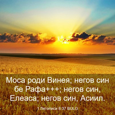 Picture 03 - 1 Летописи 8:37 BULG - Моса роди Винея; негов син - Bible Verse Picture