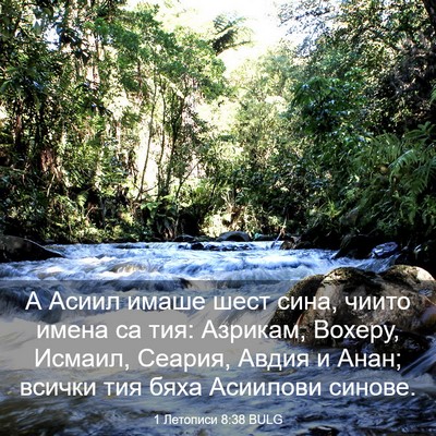 Picture 03 - 1 Летописи 8:38 BULG - А Асиил имаше шест сина, - Bible Verse Picture