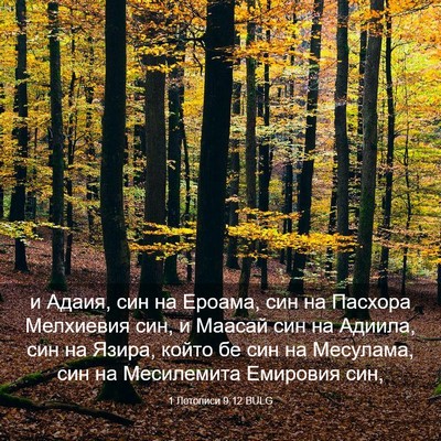 Picture 03 - 1 Летописи 9:12 BULG - и Адаия, син на Ероама, син - Bible Verse Picture