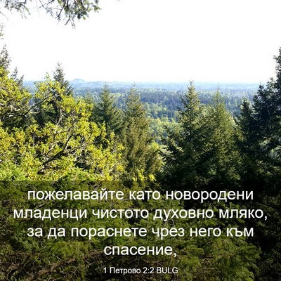 Picture 03 - 1 Петрово 2:2 BULG - пожелавайте като - Bible Verse Picture