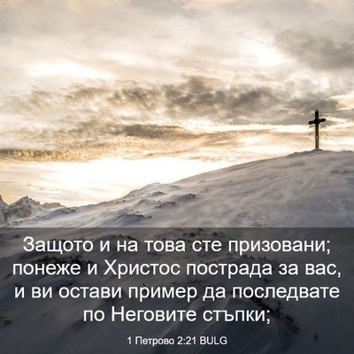 Picture 03 - 1 Петрово 2:21 BULG - Защото и на това сте - Bible Verse Picture