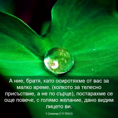 Picture 03 - 1 Солунци 2:17 BULG - А ние, братя, като - Bible Verse Picture