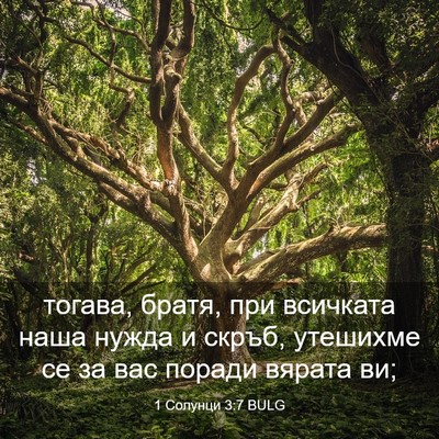 Picture 03 - 1 Солунци 3:7 BULG - тогава, братя, при всичката - Bible Verse Picture