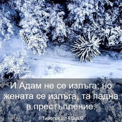 Picture 03 - 1 Тимотей 2:14 BULG - И Адам не се излъга; но - Bible Verse Picture