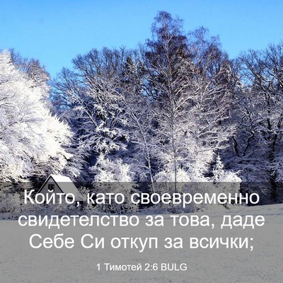Picture 03 - 1 Тимотей 2:6 BULG - Който, като своевременно - Bible Verse Picture
