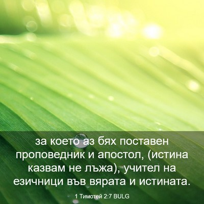 Picture 03 - 1 Тимотей 2:7 BULG - за което аз бях поставен - Bible Verse Picture