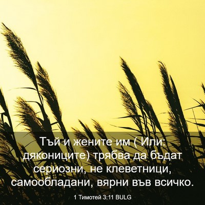 Picture 03 - 1 Тимотей 3:11 BULG - Тъй и жените им ( Или: - Bible Verse Picture