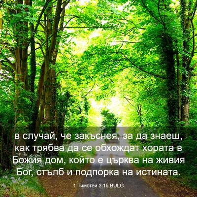 Picture 03 - 1 Тимотей 3:15 BULG - в случай, че закъснея, за да - Bible Verse Picture