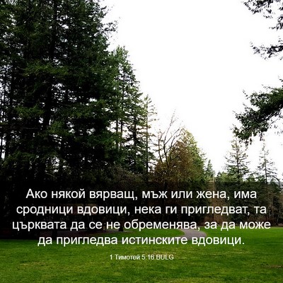 Picture 03 - 1 Тимотей 5:16 BULG - Ако някой вярващ, мъж или - Bible Verse Picture
