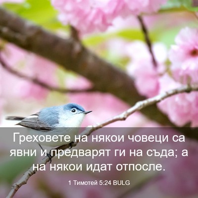 Picture 03 - 1 Тимотей 5:24 BULG - Греховете на някои човеци - Bible Verse Picture