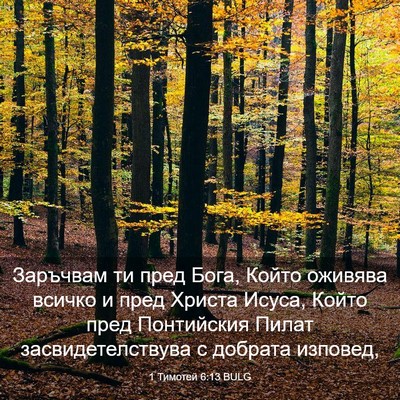 Picture 03 - 1 Тимотей 6:13 BULG - Заръчвам ти пред Бога, - Bible Verse Picture