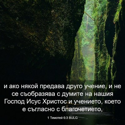 Picture 03 - 1 Тимотей 6:3 BULG - и ако някой предава друго - Bible Verse Picture