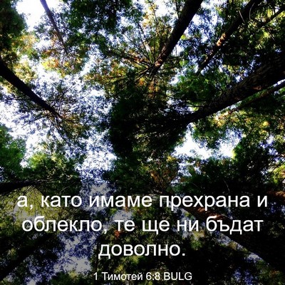 Picture 03 - 1 Тимотей 6:8 BULG - а, като имаме прехрана и - Bible Verse Picture