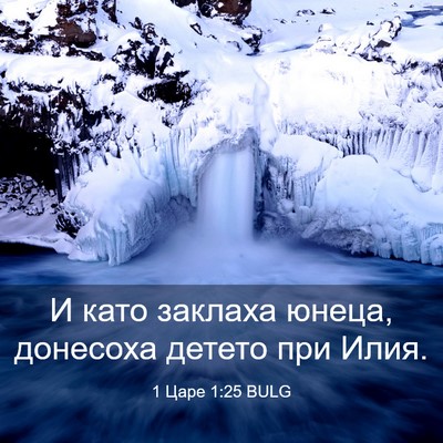 Picture 03 - 1 Царе 1:25 BULG - И като заклаха юнеца, - Bible Verse Picture