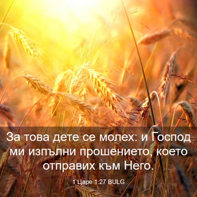 Picture 03 - 1 Царе 1:27 BULG - За това дете се молех: и - Bible Verse Picture